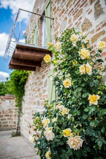 Фото номера Двухуровневый люкс Загородные дома Rosemarino Country House г. Черноморск 7